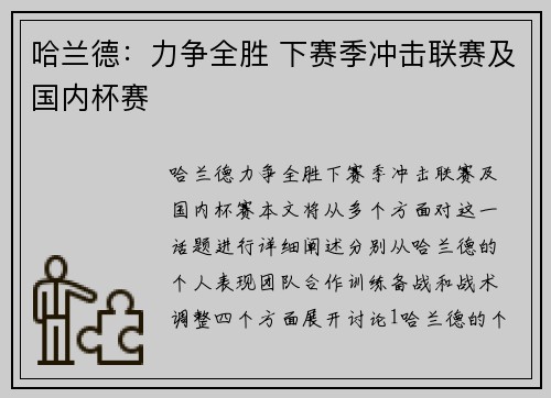哈兰德：力争全胜 下赛季冲击联赛及国内杯赛